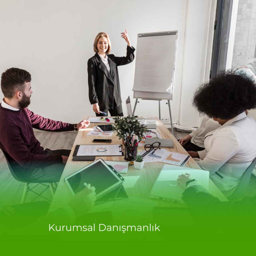 psikoterapi-alaninda-kurumsal-danismanlik